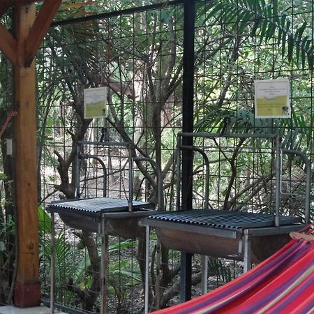 Casa Del Sol -Villas Catalinas Potrero  Εξωτερικό φωτογραφία